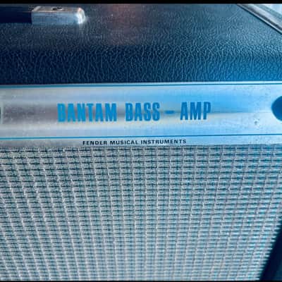 Fender Bantam Bass 2-Channel 30-Watt 1x15" Guitar Combo 1969 - 1971 - Silverface image 5