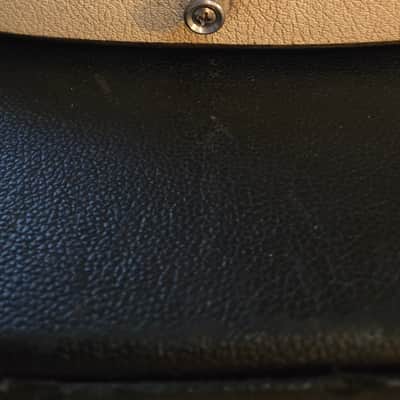 Naturally Relic'd 1959 Danelectro 3412 Short-horn Bass and Hardcase image 24