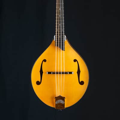 Collings MT2 Honey Amber Adirondack Spruce and Flamed Maple Mandolin NEW image 2