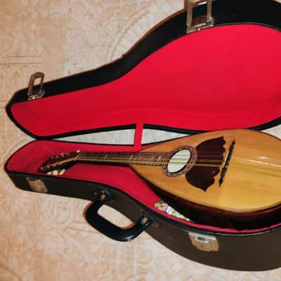 Vinaccia Bowlback 1907 or 1909 - Beautiful Wood image 17