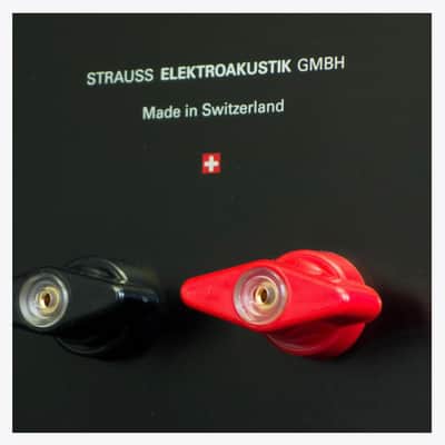 Strauss Elektroakustik SE-MF-4S 2024 image 3