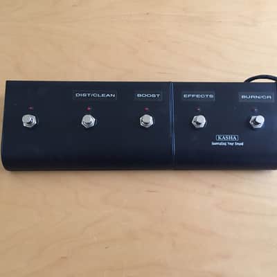 Kasha Combo Guitar Amplifier with Robocab 2014 - Snake/Python image 5