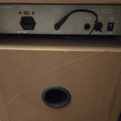 Genz-Benz Shenandoah Jr Junior Acoustic Guitar Amp - Local Pickup Only image 2