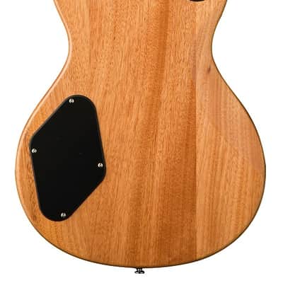 PRS SE Zach Myers 594 - Myers Blue image 2