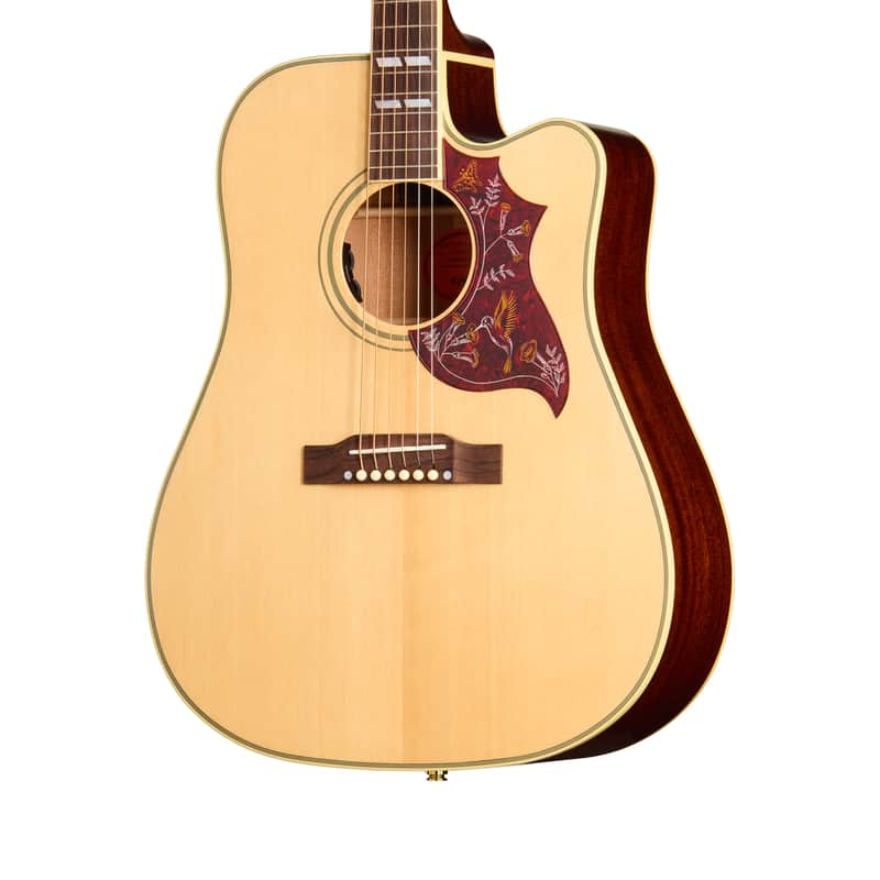 Epiphone Hummingbird Standard EC image 2
