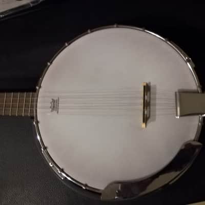 Immagine Banjo Washburn B8k - 2