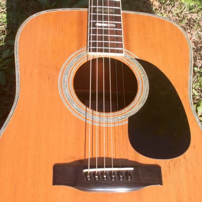 1975 Yairi YW-600 Dreadnought Guitar New Jacaranda Natural+Vintage Flight Case image 18