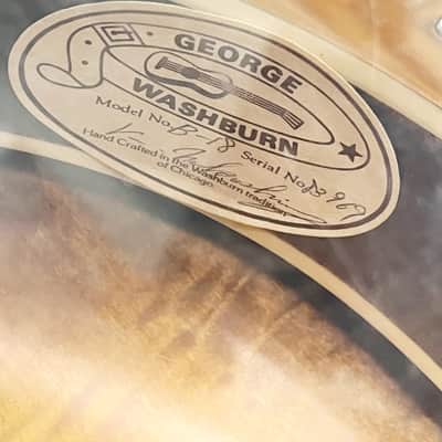 Washburn B18 5 String Resonator 1983 - Clear Gloss image 18