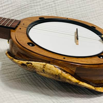 Turtle shell tenor banjo image 7
