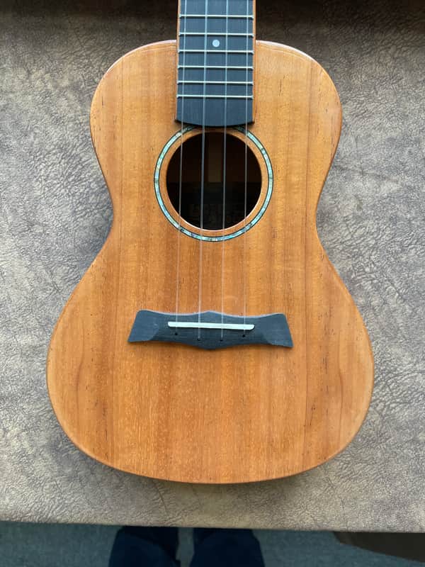 Snail SUC-M3  2025 - Gloss Workshop repair Ref no 149 Bild 1