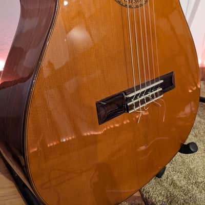 Esteve 3ECE Electro-Classical Guitar (Made in Spain) image 6