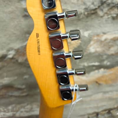 Fender Limited Edition Malaysian Blackwood Telecaster 2017 - Malaysian Blackwood image 7