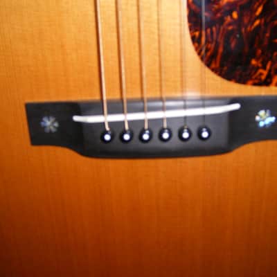 C. F. Martin Custom Shop D-18 image 13