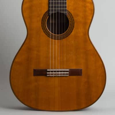Manuel Velazquez Classical Guitar (1971), Mark Leaf black hard shell case. image 3