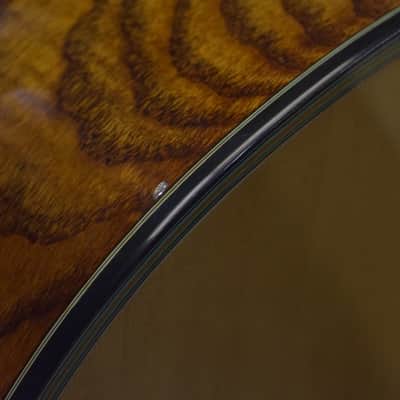 Washburn D46S12 Southwestern Series 12-String Acoustic Guitar w/Case #G05070031 image 19
