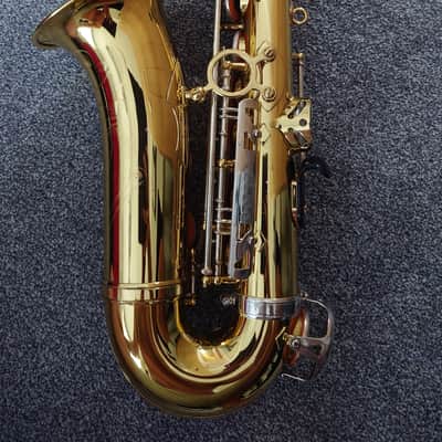 Borgani Vintage Alto Saxophone 1980 - Gold Lacquer with Nickel Silver Keys image 23