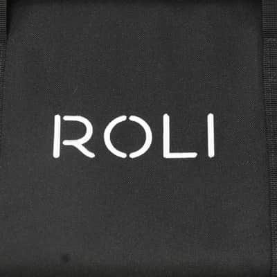ROLI Seaboard RISE 49 2010s - Black image 10