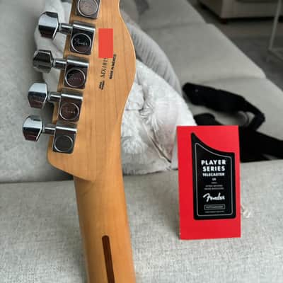 Fender Player Telecaster Left-Handed with Maple Fretboard 2018 - 2024 - Butterscotch Blonde Bild 4
