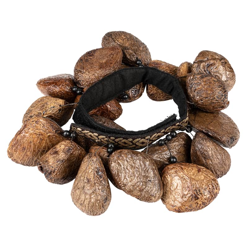Meinl FR1P Pangi Seeds Ankle Shaker image 1