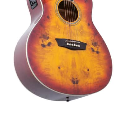 Washburn Acoustic Electric Guitar Cutaway Grand Auditorium - Forest Burl Amber Fade image 1