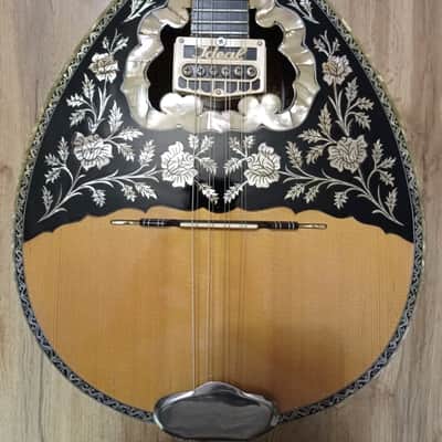 Greek Bouzouki & hardcas & pickup & 300 backing track with pdf scores 8 string Approximately 80s image 2
