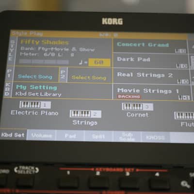 Korg PA1000 61-Key Professional Arranger 2017 - Present - Red image 12