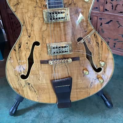 Washburn Washburn HB150 SP - Custom / Limited Edition Hollowbody early 2000's - Spalted Maple image 3
