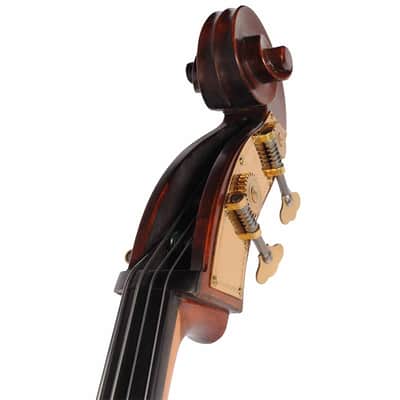Samuel Eastman 2022 VB95GR 3/4 Upright Bass with Gig bag image 3
