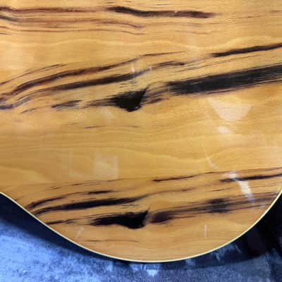 Fender Wildwood Coronado II 1967 - Wildwood image 13