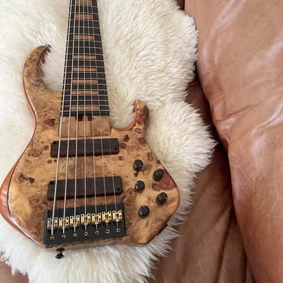 Skjold Skjoldslayer Custom 2008 image 1