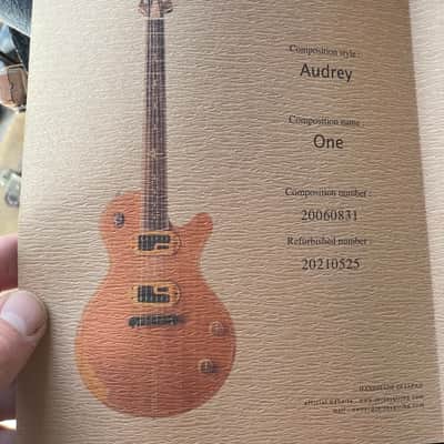 Jersey Girl Homemade Guitars - The first Audrey model ever made: "Audrey One" image 22