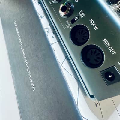 Strymon TimeLine Delay studio use image 4