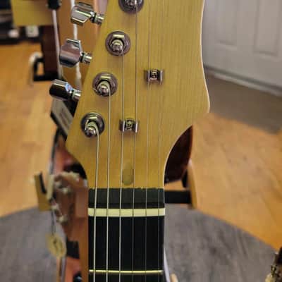 G.P.S. Custom Partscaster 2024 - Natural image 3