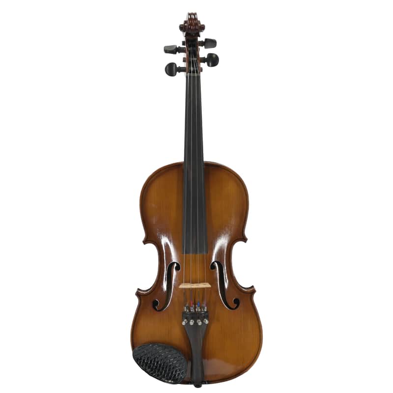 Violin 4/4 ''Ragalini'' image 1