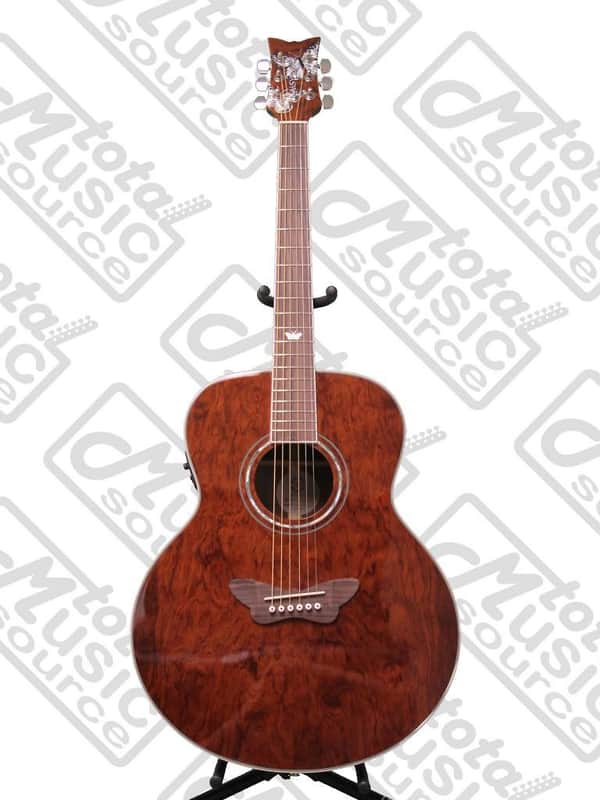 Daisy Rock Butterfly Jumbo Acoustic-Electric Guitar, Bubinga | Reverb