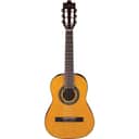 Ibanez Classical Series GA1 Acoustic Guitar with Spruce Top, Rosewood Fretboard, Amber High Gloss