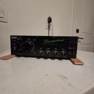Bergantino Forte 800-Watt Bass Head 2010s - Black image 1