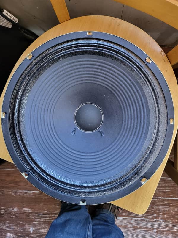 Celestion G12 V-Type 12" 70-Watt 16ohm Guitar Amp Speaker 2020s - White image 1