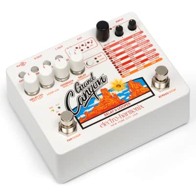 Electro-Harmonix Grand Canyon Delay and Looper image 3