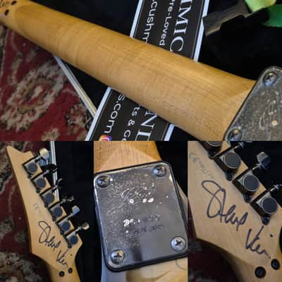 Ibanez JEM77-FP Steve Vai Signature  1998 - "Floral Print" ☆VIDEO☆ image 7