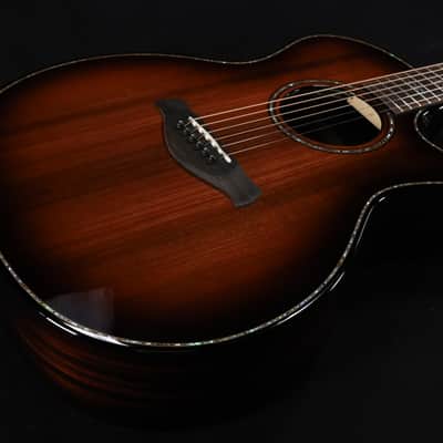 Taylor Builder's Edition 914ce LTD Macassar 039 image 1