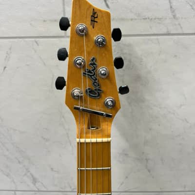 Godin Radiator 2005 image 2