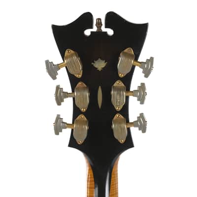 D'Angelico New Yorker Excel Owned by Brian Setzer image 10