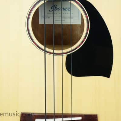 Ibanez PCBE12-OPN Performance - Open Pore Natural image 5