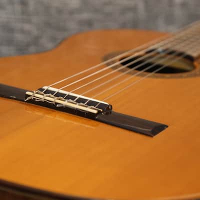 Aria A554 Classical Nylon String Guitar - 1970 - Made in Japan - Brazilian Rosewood image 11