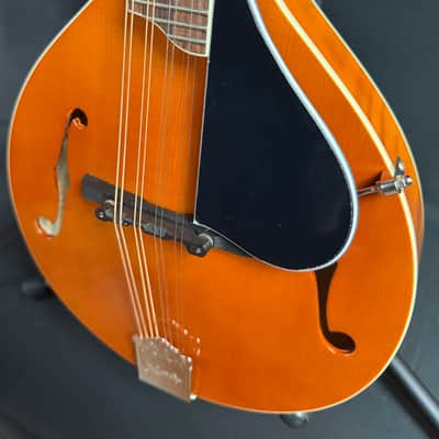 Kentucky KM-252 Artist Deluxe A-Style Mandolin Transparent Amber w/ Gig Bag image 7