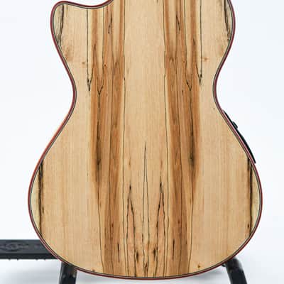 Cordoba 24TCE Tenor Spalted Maple Spruce Ukulele image 8