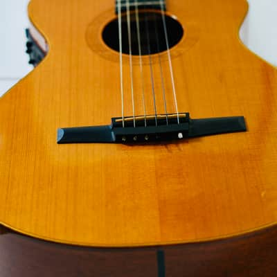 Rare Taylor NS52ce (2003) – Jason Mraz Spec – USA Made – Fishman image 22