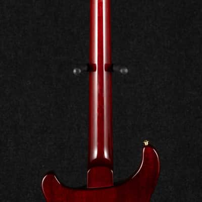 Paul Reed Smith DGT 10-Top Birds - Dark Cherry Burst image 6