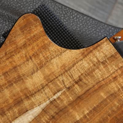 Unplayed! 2018 Taylor 712ce 12 Fret Limited Edition Torrified Spruce Blackwood Acoustic Guitar Natural + OHSC image 13